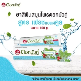Twin ดอกบัวคู่ ยาสีฟันสมุนไพร เฟรช แอนด์ คลู 100 กรัม