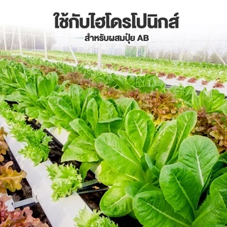 ปุ๋ยเกล็ด 0-52-34 โมโนโพแทสเซียมฟอสเฟต 1 กิโลกรัม สะสมอาหารเร่งดอก พ่นทางใบ ระบบน้ำ และไฮโดรโปนิกส์