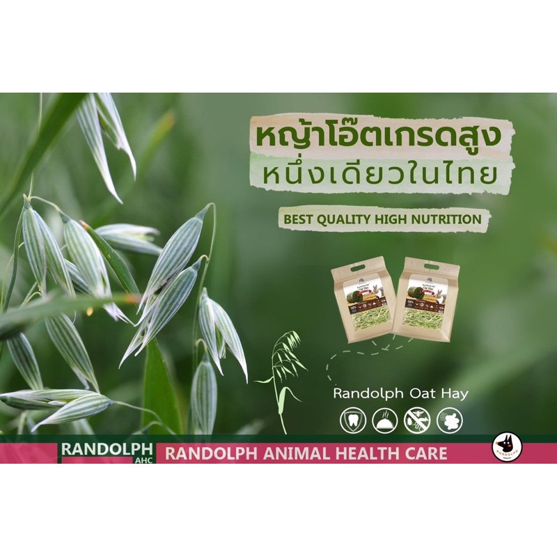 🦄❂♨Oat Hay หญ้าโอ๊ตพรีเมี่ยม 700กรัม Randolph