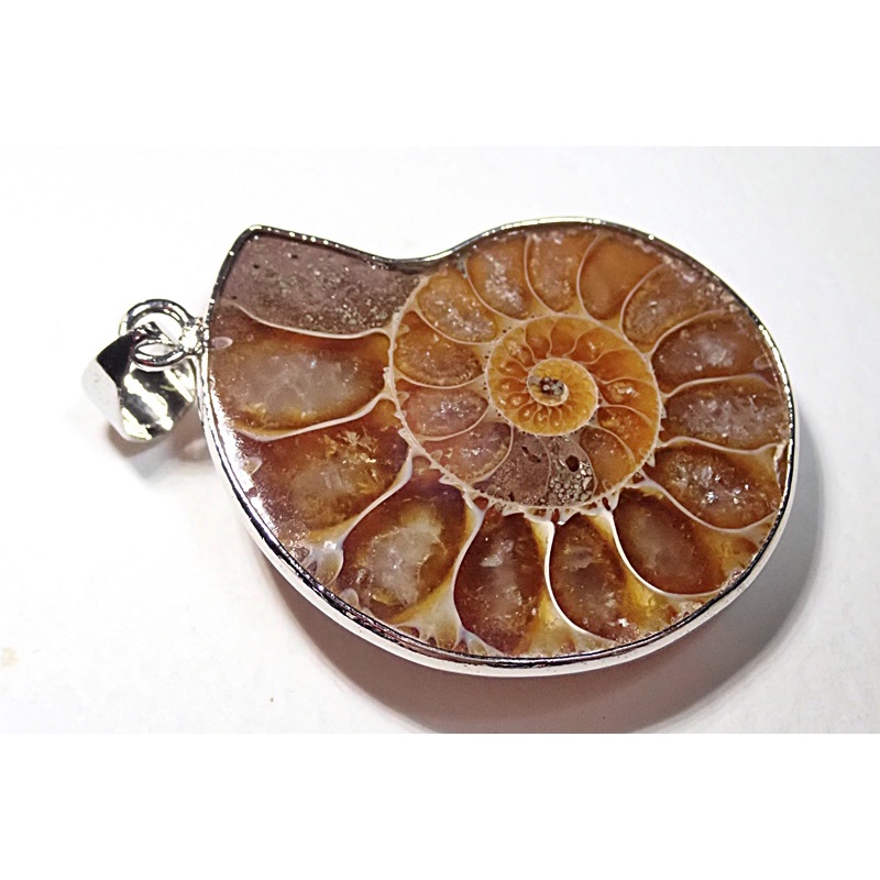 จริง Ammonite Fossil Shell จี้หินธรรมชาติ 03