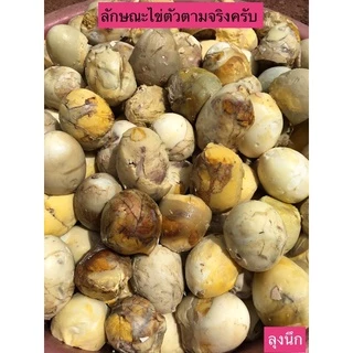 ไข่ข้าวไข่ตัวลุงนึก🐣ไข่ไก่🔥ราคา 55 บาท/10ฟอง🔥#ไข่ข้าวนึ่งสุก#ไข่ฮ้างฮาง#ไข่ลูกอ่อน
