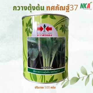 เมล็ดผักกาดกวางตุ้งต้น ทศกัณฐ์ 37 ตราศรแดง ปริมาณ 500 กรัม ผักกาดกวางตุ้งกระป๋อง