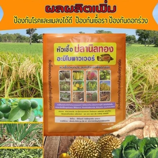 หัวเชื้อปลานิลทอง( 5 แถม1)​