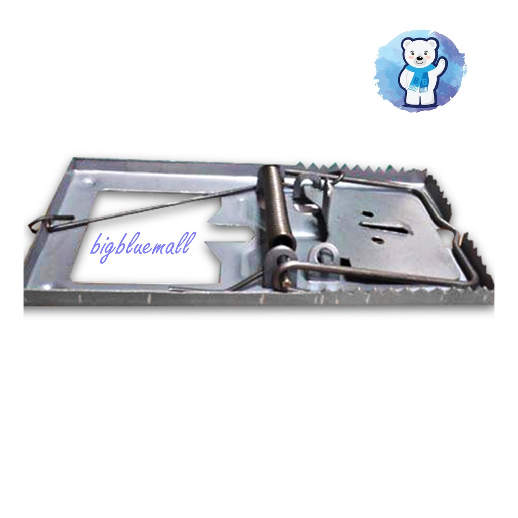 BigBlueMall กับดักตีหนู,ดักหนู, (ใหญ่)(8.5x16cm) (1*6ชิ้น/กล่อง) รหัส 10160004-006