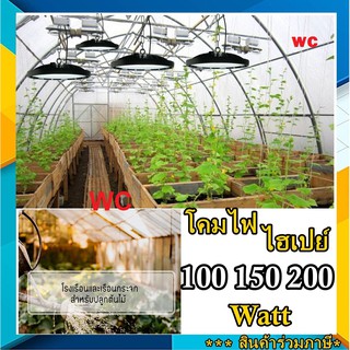 โคมไฟ ไฮเปย HIBAY Eve 100W 150W  200W 50W  ไฟปลูกต้นไม้ โรงเรือน กันน้ำ เน้นแสงสว่าง แสงขาว โรงปลูกต้นไม้ แสงปลูกต้นไม้