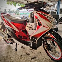 Profile maxgenesis