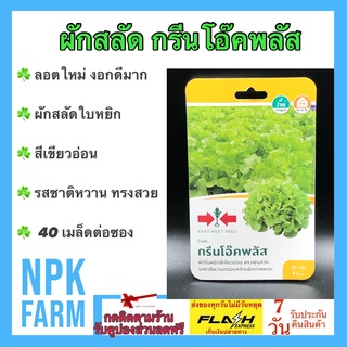 ผักซอง ศรแดง กรีนโอ๊คพลัส 40 เมล็ด/ซอง  ผักกาดหอม ผักสลัด เมล็ดพันธุ์ ลอตใหม่ ใบหยิกสีเขียวอ่อน ทรงพุ่มสวย รสชาติหวาน