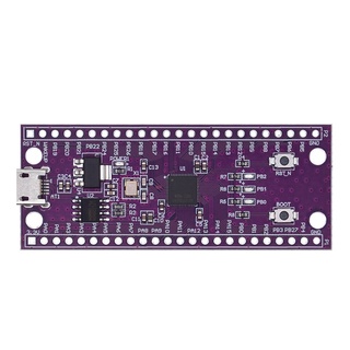 ชิปไมโครคอนโทรลเลอร์ W806 240MHZ 5-8Bit STM32 CH340 IOT MCU พลังงานต่ํา