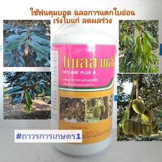 เพิ่มอาหารทางด่วนพืชป้องกันดอกและผลร่วง,ไมเลสพลัสบี(Mono-Di-Poly saccharide+Agro-nomic Biostimulant)1ลิตร