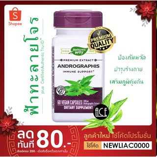 🌿ฟ้าทะลายโจรเกรดพรีเมี่ยม บรรเทาหวัด บำรุงขั้นสูง🌟 ; Natures Way, Andrographis : 300 mg, 60 Vegan Caps พร้อมส่ง/pre