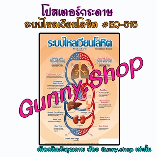 โปสเตอร์เรื่องระบบไหลเวียนโลหิต #EQ-515 โปสเตอร์กระดาษอาร์ตมัน สื่อการเรียนรู้ #gunny #gunny.shop