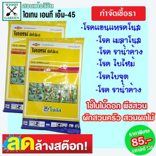 สารกำจัดเชื้อรา ป้องกันและกำจัดเชื้อรา โรคโคนเน่า ใบจุด รากเน่า ไดเทน100กรัม เอนที เอม-45