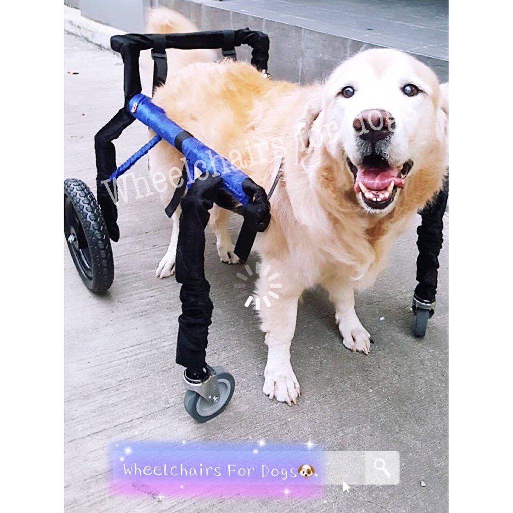 วีลแชร์สุนัข โครงเหล็กกันสนิม ขนาดไซส์ XL สัตว์เลี้ยงรถเข็น wheelchair for dog **ติดต่อร้านค้าก่อนสั่งซื้อ**โดยสัตวแพทย์