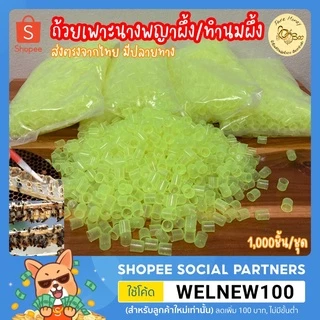 หลอดเพาะนางพญา ถ้วยเพาะเลี้ยงนางพญาผึ้ง 1,000 ชิ้น เพาะนางพญาผึ้ง เลี้ยงนางพญา นางพญาผึ้ง อุปกรณ์สำหรับเลี้ยงผึ้ง