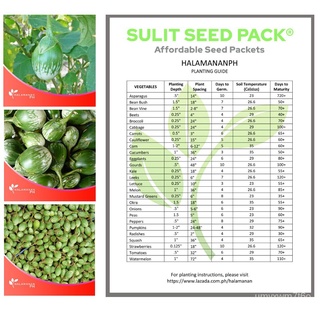 EGGPLANT - BILOG ILOKO SEEDS SULIT SEED PACK [Halamanan PH] ผักชี/กุหลาบ/เมล็ด/เด็ก/ผักกาดหอม/หมวก/เสื้อ/กระโปรง/บ้านและ