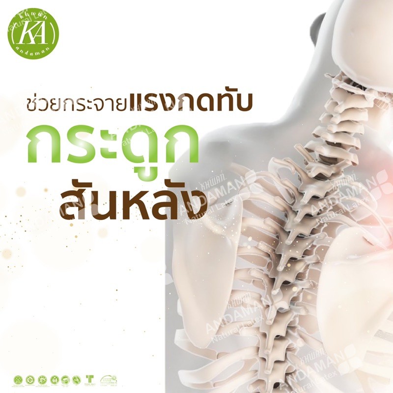 KA Latex ที่นอนยางพา