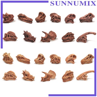 [Sunnimix] โมเดลฟอสซิลรูปกะโหลกไดโนเสาร์สําหรับตกแต่ง