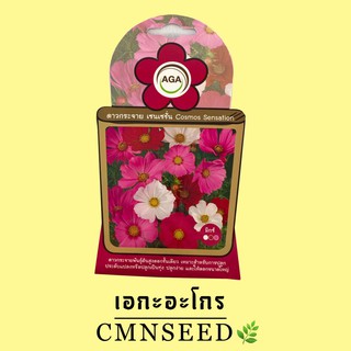 เมล็ดพันธุ์ ดอกไม้ ดอกดาวกระจาย เซนเซชั่น ( COSMOS SENSATION )