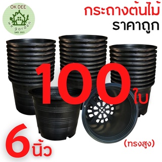 เซต 100 ใบ กระถางต้นไม้ พลาสติกดำ กระถางพลาสติก ขนาด 6 นิ้ว สีดำ