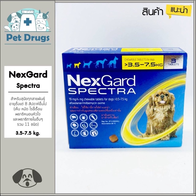 7dog ถูกที่สุด พร้อมโปรโมชั่น ธ.ค. 2022BigGoเช็คราคาง่ายๆ