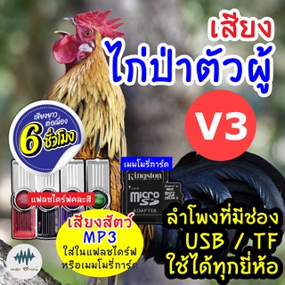 (MP3 เสียงต่อสัตว์) เสียงไก่ป่าผู้ V.3 [6ชั่วโมง] ใส่แฟลชไดร์ฟ/เมมโมรี่ มีเก็บเงินปลายทาง เสียงดี ชัด100% ไม่มีโฆษณาแทรก