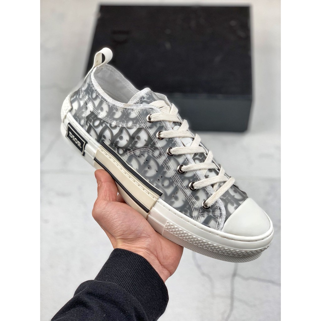dior x kaws oblique