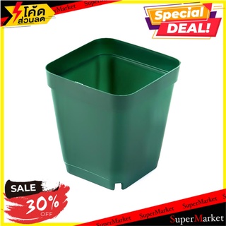 กระถางกระบองเพชร ชัยโย 10 ใบ สีเขียว กระถางต้นไม้และอุปกรณ์ SUCCULENT PLANT POT CHAIYO GREEN 10PCS อุปกรณ์ตกแต่งสวน