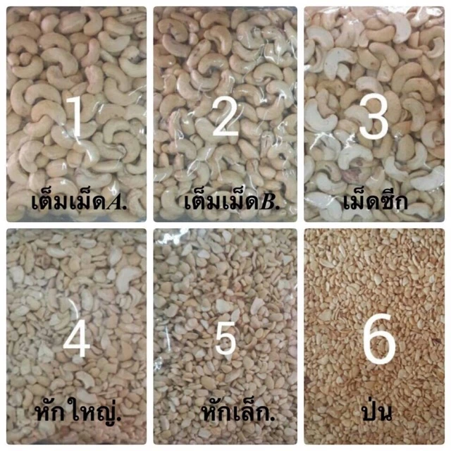เม็ดมะม่วงหิมพานต์ดิบ 1กก. ขายปลีก-ส่ง เม็ดใหม่ สดๆ ขาวเนียน รับประกัน!!