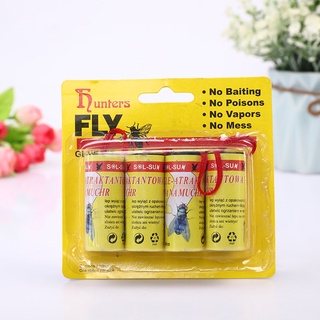 แผ่นกาวดักแมลงวัน FLY CATCHER ปลอดภัย ไร้สารพิษ ดักแมลงหวี่ แมลงขนาดเล็ก ไร้ยาฆ่าแมลง ปกป้องคุณจากแมลง