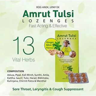 Amrut Tulasi Ginger &amp; MInt กระเพรา ขิงและสะระแหน่ ลูกอม 1 แถบ 6 ลูกอม