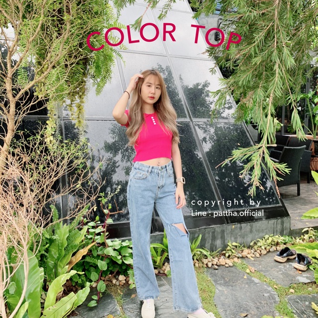 COLOR TOP เสื้อไหมพรมแขนสั้นคอปกกระดุมหน้า #PTB003