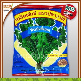 เมล็ดพันธุ์ผักชี ผักชีเพิ่มผล กอใหญ่ (300 กรัม) เมล็ดผักชีถุงใหญ่ เมล็ดผักชีปลาวาฬ เมล็ดพันธุ์ผักสวนครัว ตราปลาวาฬ