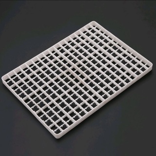 ถาดฟักไข่นกกระทา#221 pcs quail egg tray