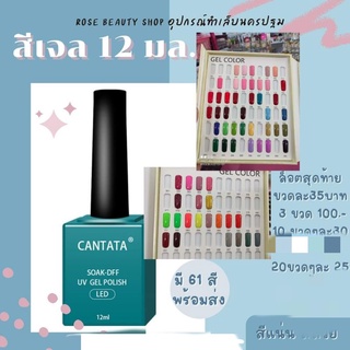 สีเจลราคาถูก สีแน่นสีสวย cantata