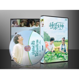 ซีรี่ย์จีน My Goddess ปลูกหัวใจให้รักผลิบาน (พากย์ไทย) DVD 4 แผ่น