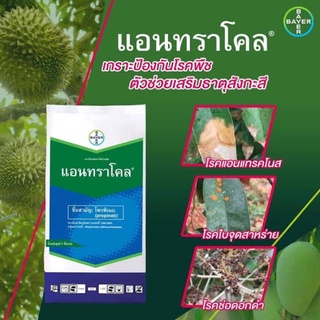 🌿แอนทราโคร -BAYER 🌿 ขนาด 1 กิโลกรัม (ป้องกันกำจัดโรคพืช)