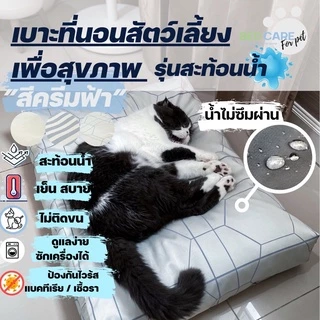 Bed Care For Pet เบาะนอนสัตว์เลี้ยงเพื่อสุขภาพ สัมผัสเย็น ป้องกันไรฝุ่น ไม่ติดขน "รุ่นสะท้อนน้ำ" สีครีมฟ้า ส่งฟรี 🔥