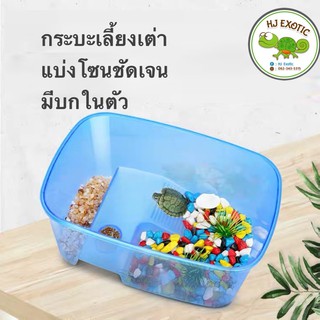กระบะเลี้ยงเต่า อ่างเลี้ยงเต่า มีบกในตัว สำหรับเต่าน้ำ เต่าญี่ปุ่น