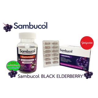 Sambucol Black Elderberry Gummies และCapsule แซมบูคอล แบล็ค เอลเดอร์เบอรี่ แบบกัมมี่และ แคปซูล