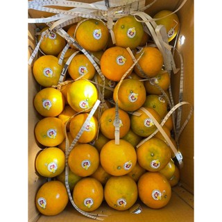 ส้มสายน้ำผึ้ง คละไซด์4-5 กล่อง 5 kg