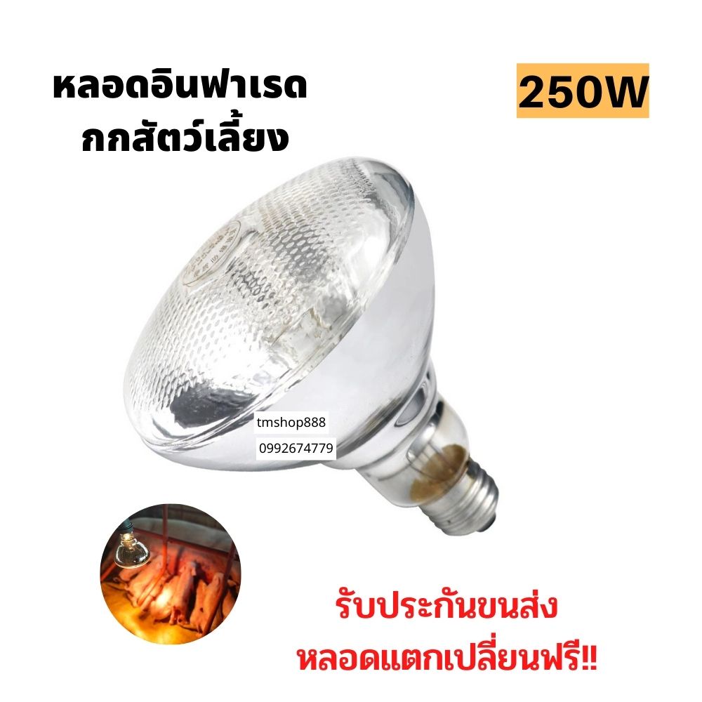 หลอดไฟอินฟาเรดแสงสีส้ม [ขาวหนา] กกไก่ หมู 250wกกไก่ กกหมู กกสัตว์เลี้ยง