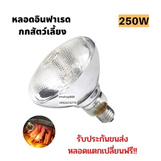 หลอดไฟอินฟาเรดแสงสีส้ม [ขาวหนา] กกไก่ หมู 250วัตต์  E27 หลอดไฟให้ความอบอุ่น infrared bulb 250w ราคาถูก