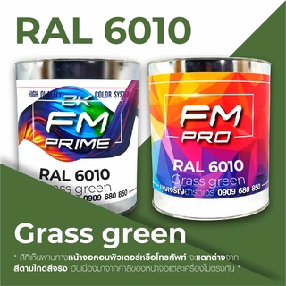 สี RAL6010 Grass green