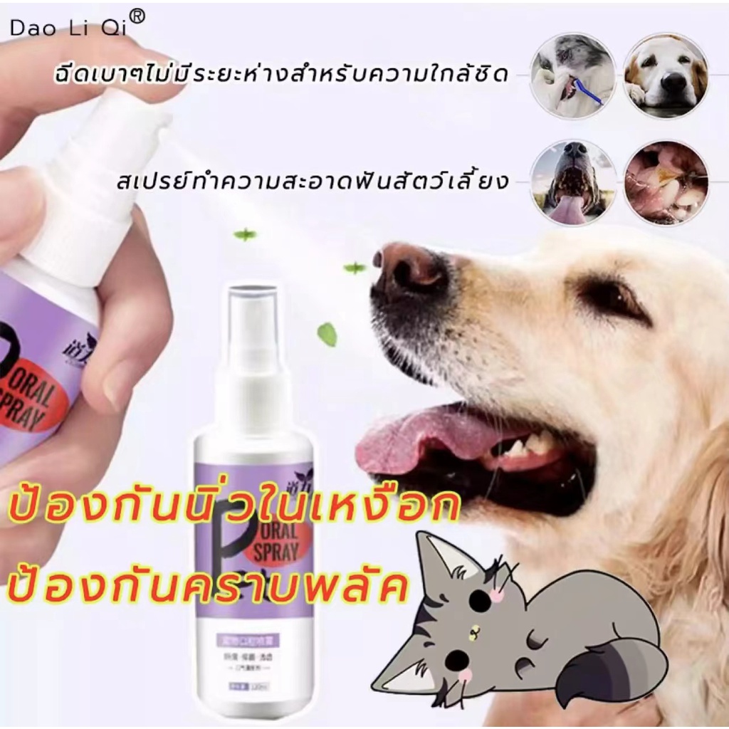 สเปรย์ฉีดช่องปากสัตว์เลี้ยง น้ำยาบ้วนปากแมว น้ํายาดับกลิ่นปาก แมว สเปรย์ดับกลิ่นปากสุนัข ขจัดแบคทีเรีย