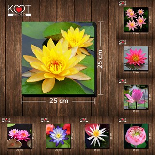 กรอบลอย ติดผนัง ภาพดอกไม้ ดอกบัว (ขนาด 25x25 ซม.)