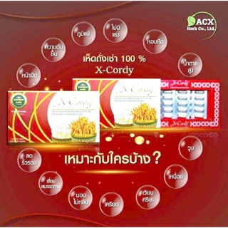 ถั่งเช่า X-Cordy ของแท้100% 1กล่อง