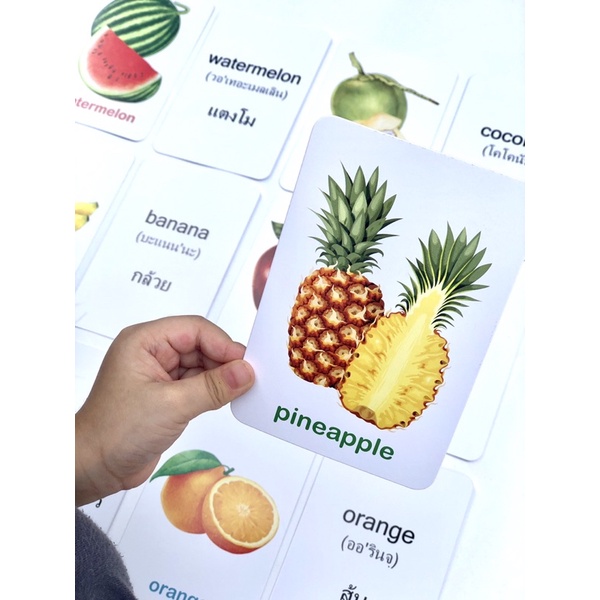 บัตรภาพคำศัพท์ แฟลชการ์ด  #สัตว์#ผลไม้#abc#ผัก#กขค flashcard รูปที่ 7