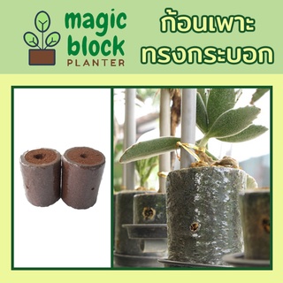 Magicblock ก้อนเพาะปลูกมหัศจรรย์ทรงกระบอก