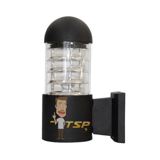 OUTDOOR โคมไฟผนัง 1 หัวซีกมิเนียม หัวมน รุ่น TSP-A032