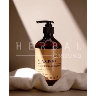 Herbal Ground แชมพูข้าวก่ำน้ำผึ้ง ลดผมร่วง ลดผมหงอก ลดรังแค กระตุ้นผมงอกใหม่ แก้ปัญหาหนังศีรษะ
